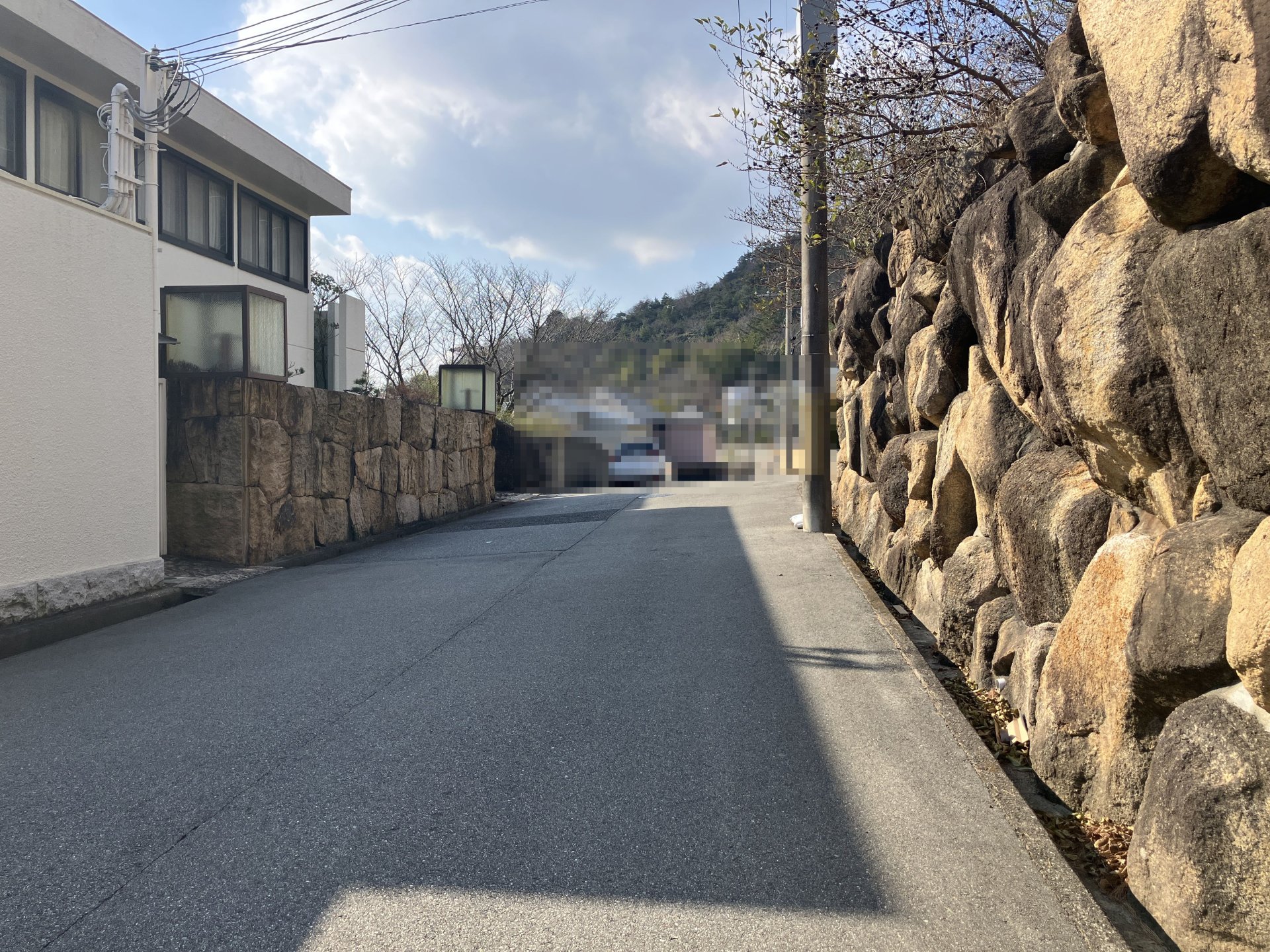 前面道路含む外観