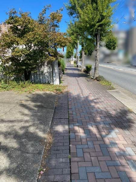 前面道路含む外観