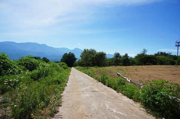 前面道路含む外観