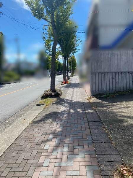 前面道路含む外観