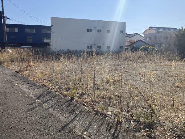 前面道路含む外観