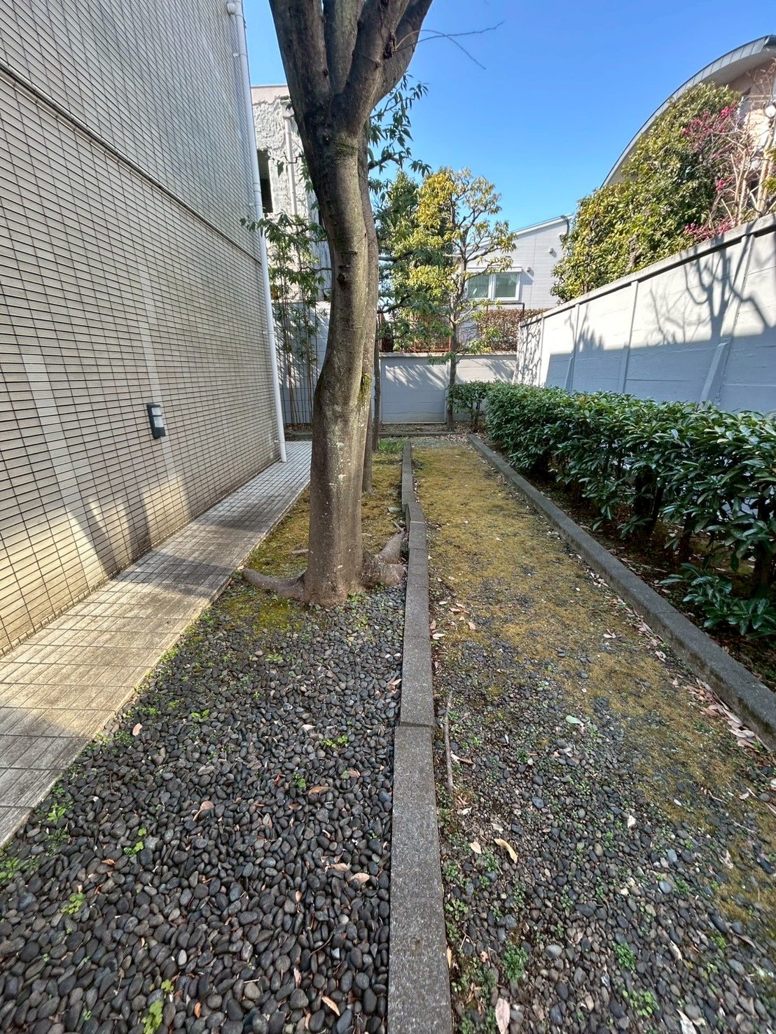 【初期費用分割・クレカ対応】一都三県のお部屋探しは2025年全国年間仲介件数ランキング5位 タウンハウジング東京にお任せ下さい。