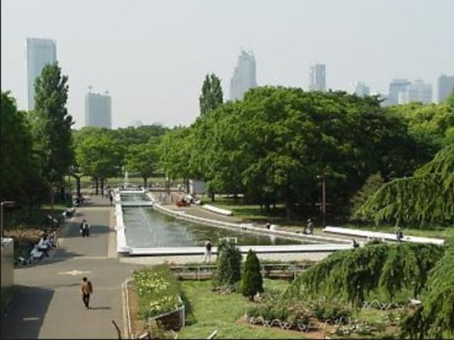 東京都立代々木公園