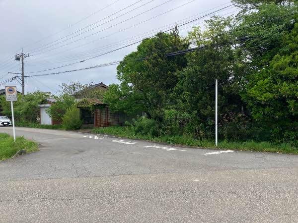 前面道路含む外観