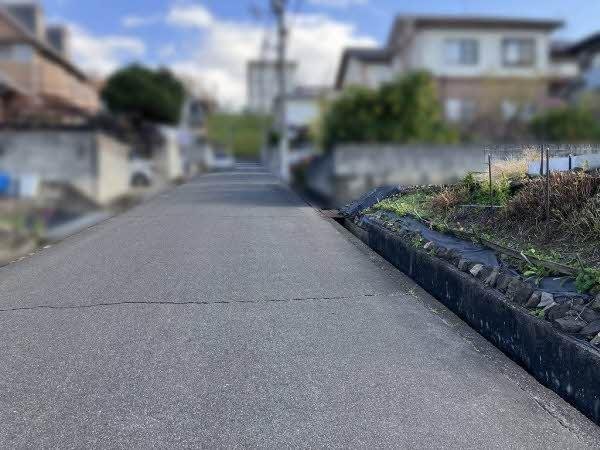 前面道路含む外観