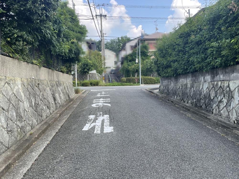 前面道路含む外観