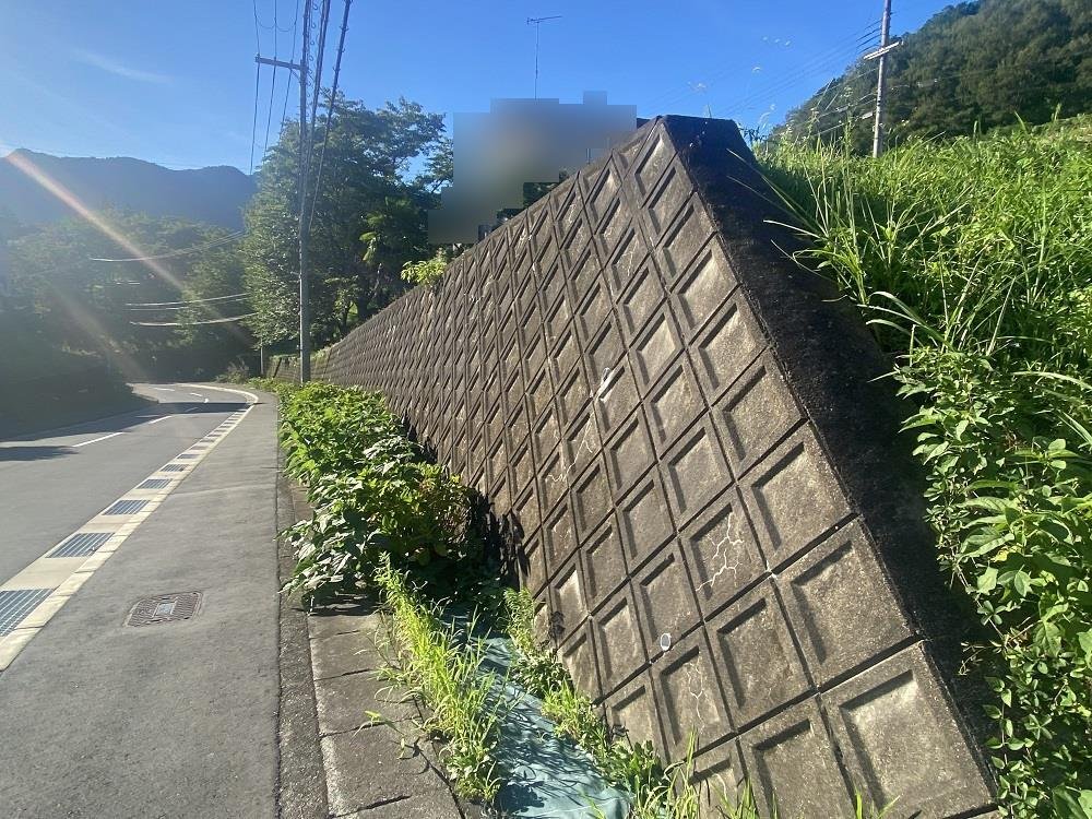 前面道路含む外観