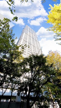 お問合せは(株)タウンハウジングレジデンス事業部【03-5563-9055】までお気軽にお問合せ下さい。