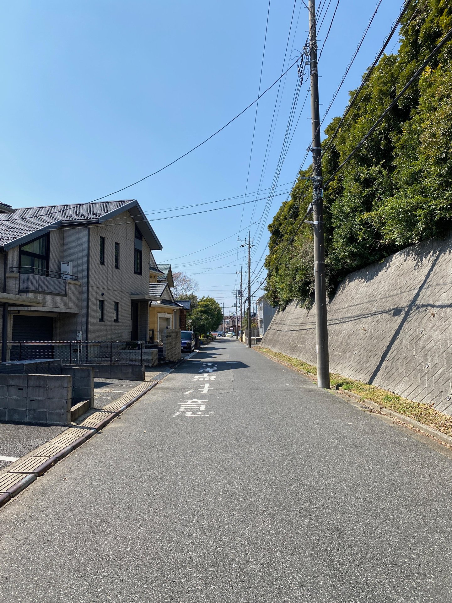 前面道路含む外観