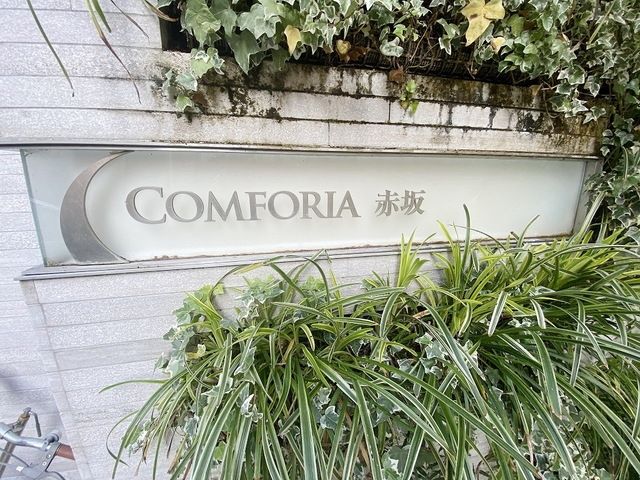 【初期費用分割・クレカ対応】一都三県のお部屋探しは2025年全国年間仲介件数ランキング5位 タウンハウジング東京にお任せ下さい。