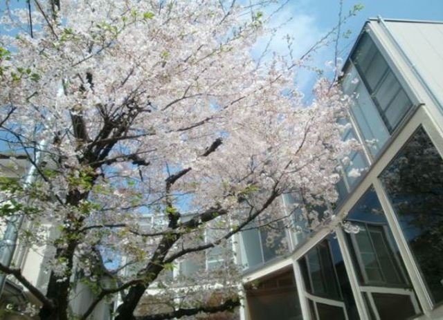 【初期費用分割・クレカ対応】一都三県のお部屋探しは2025年全国年間仲介件数ランキング5位 タウンハウジング東京にお任せ下さい。