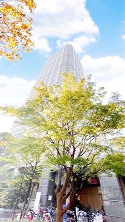 お問合せは(株)タウンハウジングレジデンス事業部【03-5563-9055】までお気軽にお問合せ下さい。