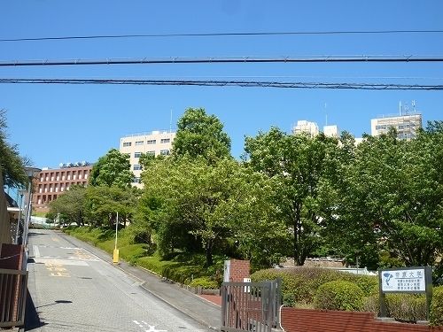 帝京大学