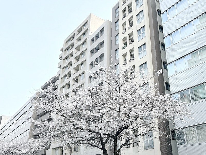 お部屋探しは株式会社 タウンハウジング までお気軽にお問合せ下さい。
クレジットカード決済・首都圏を中心直営143店舗 仲介件数全国2位の豊富な実績!諸費用・審査等・何でもご相談下さい。