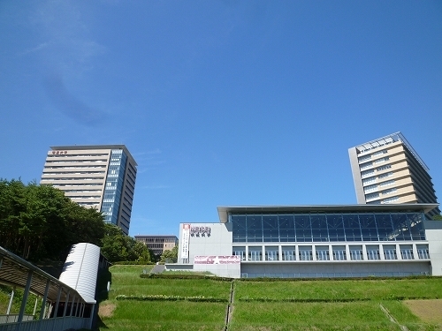 明星大学