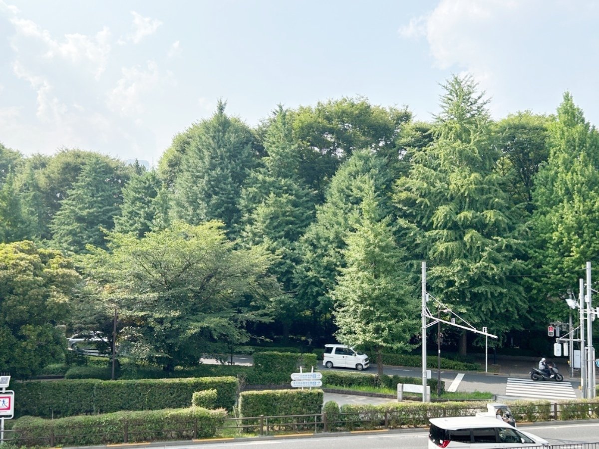 お部屋探しは株式会社 タウンハウジング までお気軽にお問合せ下さい。
クレジットカード決済・首都圏を中心直営143店舗 仲介件数全国2位の豊富な実績!諸費用・審査等・何でもご相談下さい。