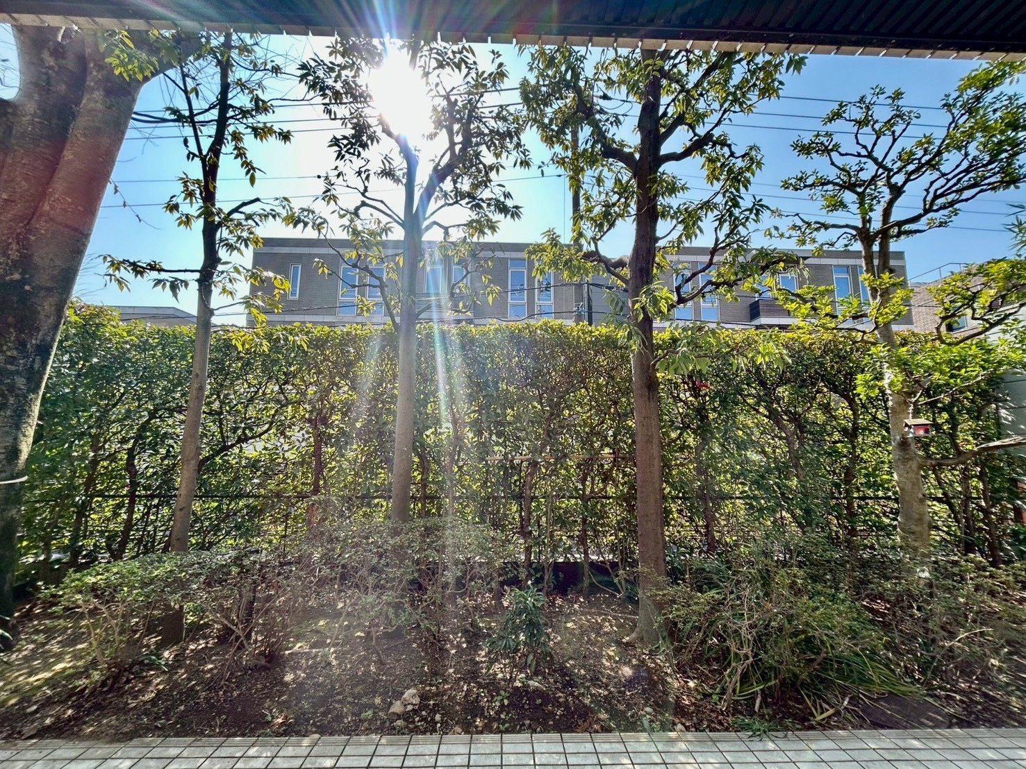 【初期費用分割・クレカ対応】一都三県のお部屋探しは2025年全国年間仲介件数ランキング5位 タウンハウジング東京にお任せ下さい。