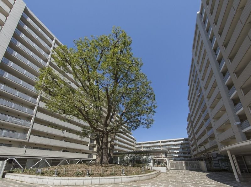 【初期費用分割・クレカ対応】一都三県のお部屋探しは2025年全国年間仲介件数ランキング5位 タウンハウジング東京にお任せ下さい。