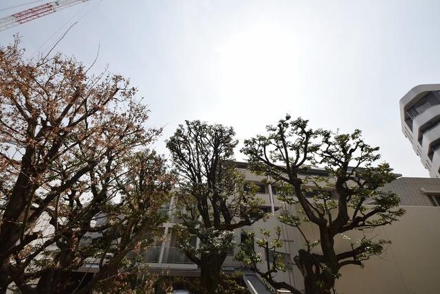 【初期費用分割・クレカ対応】一都三県のお部屋探しは2025年全国年間仲介件数ランキング5位 タウンハウジング東京にお任せ下さい。