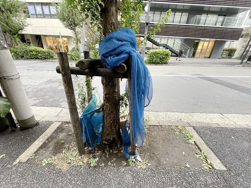 【初期費用分割・クレカ対応】一都三県のお部屋探しは2025年全国年間仲介件数ランキング5位 タウンハウジング東京にお任せ下さい。