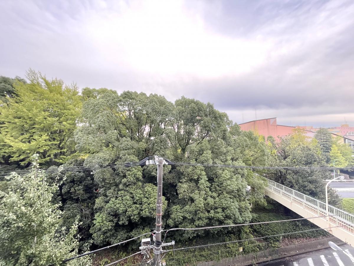 お部屋探しは株式会社 タウンハウジング までお気軽にお問合せ下さい。
クレジットカード決済・首都圏を中心直営143店舗 仲介件数全国2位の豊富な実績!諸費用・審査等・何でもご相談下さい。